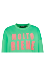 Cars sweater Lyncy green molto bene