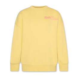 A076 sweater  Percy noodles