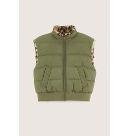 Bellerose bodywarmer kaki beige panter