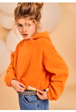 A076 hoodie cropped Blade orange A076 hoodie cropped Blade orange