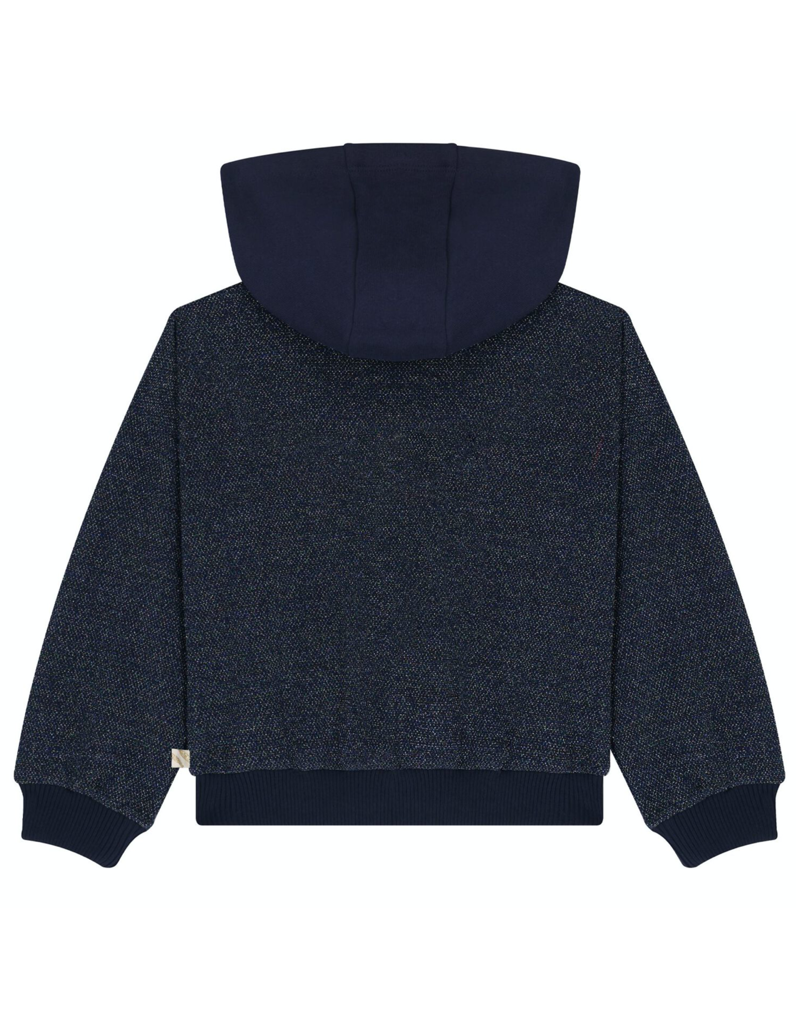 Billieblush navy glitter hoodie