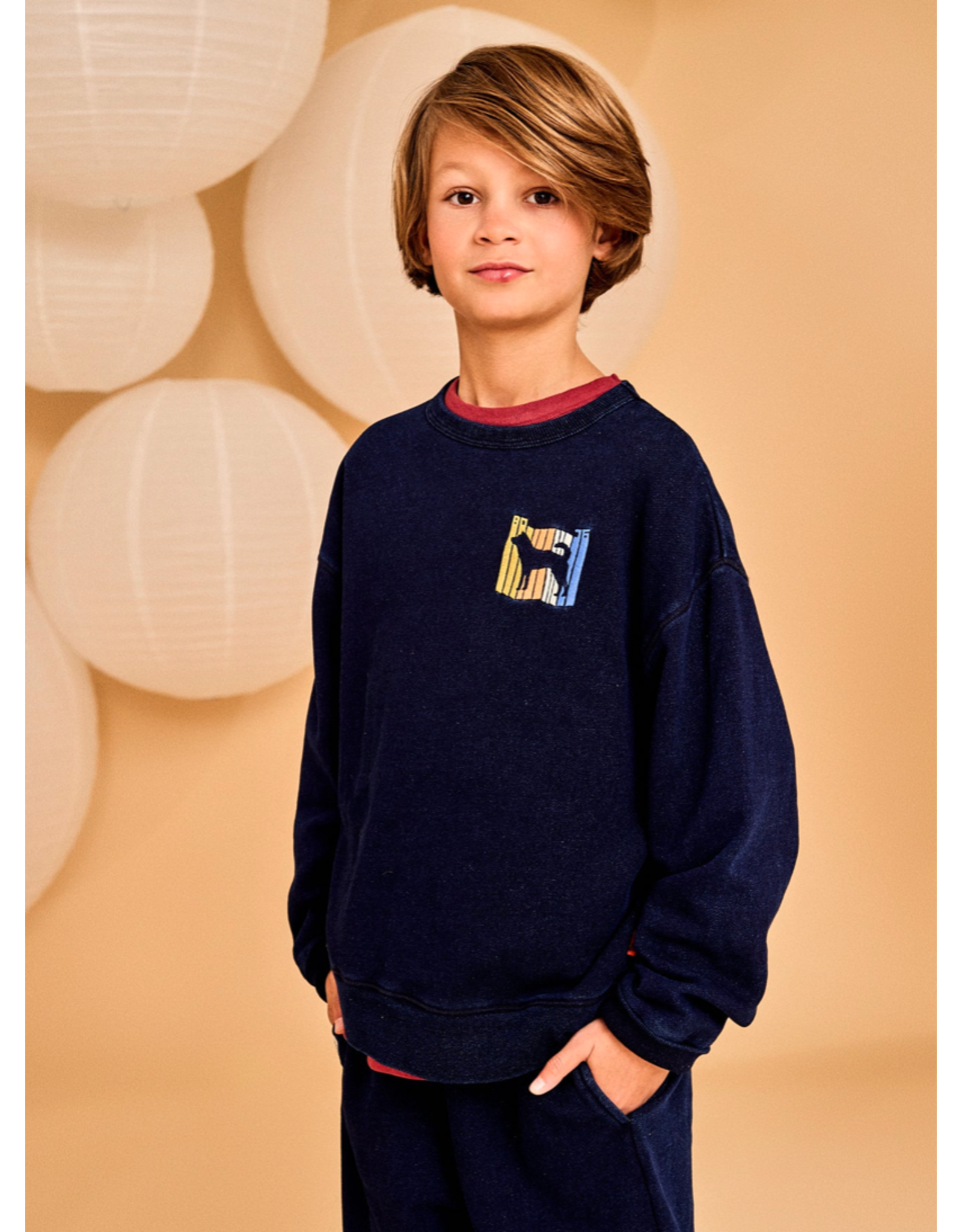 AO76 sweater Jindo marine wolf