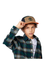 Timberland Hemd ruit groen blauw