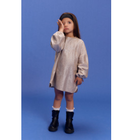 Alix mini jurk silver