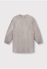 Alix mini jurk silver