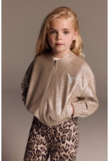 Alix mini bomberjas silver