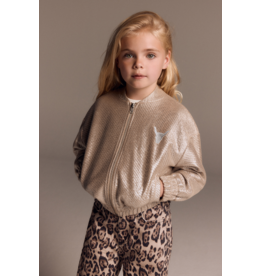 Alix mini bomberjas silver