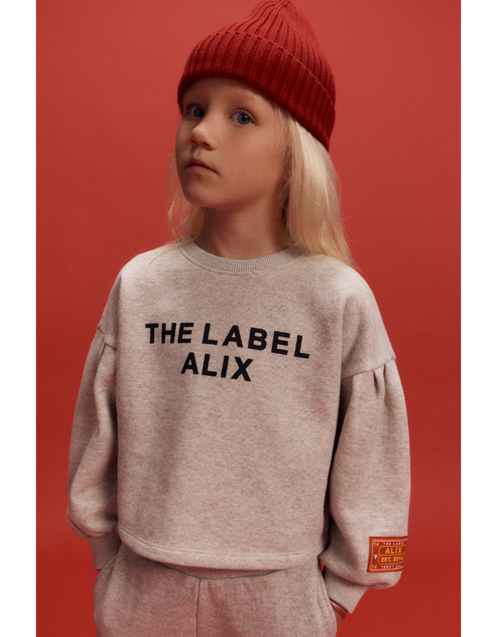 Alix mini sweater cropped grey melange