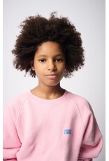 American Vintage sweater Izubird barbe a papa