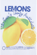 Bellerose T-shirt Kenny wit