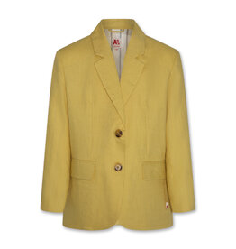 AO76 blazer poke nico yellow