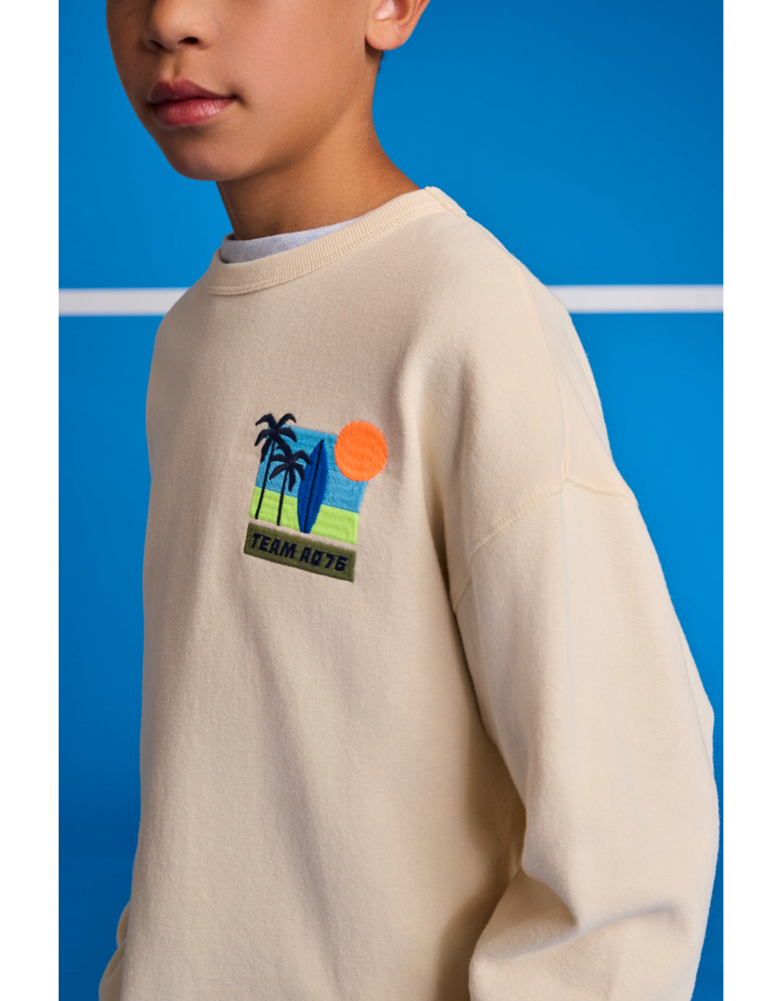 AO76 sweater Oscar palms sahara