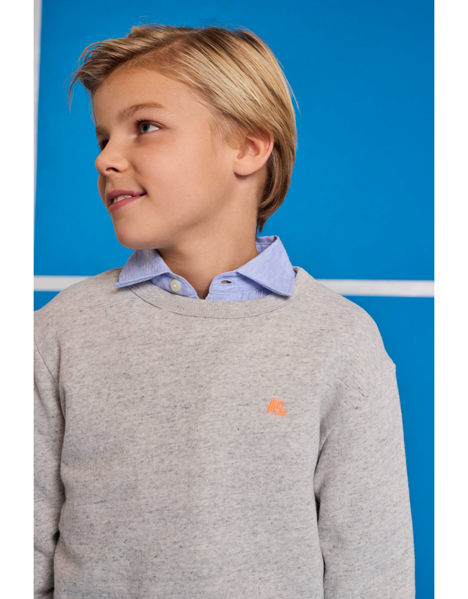 AO76 sweater tom logo grey melange