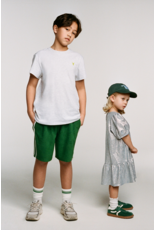 Alix mini jurk silver