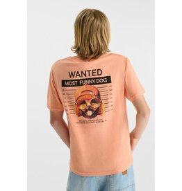 Le temps des cérises T-shirt Wembleybo wanted dog sunblush