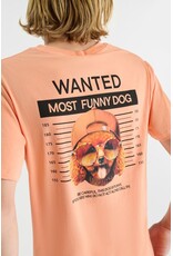 Le temps des cérises T-shirt Wembleybo wanted dog sunblush