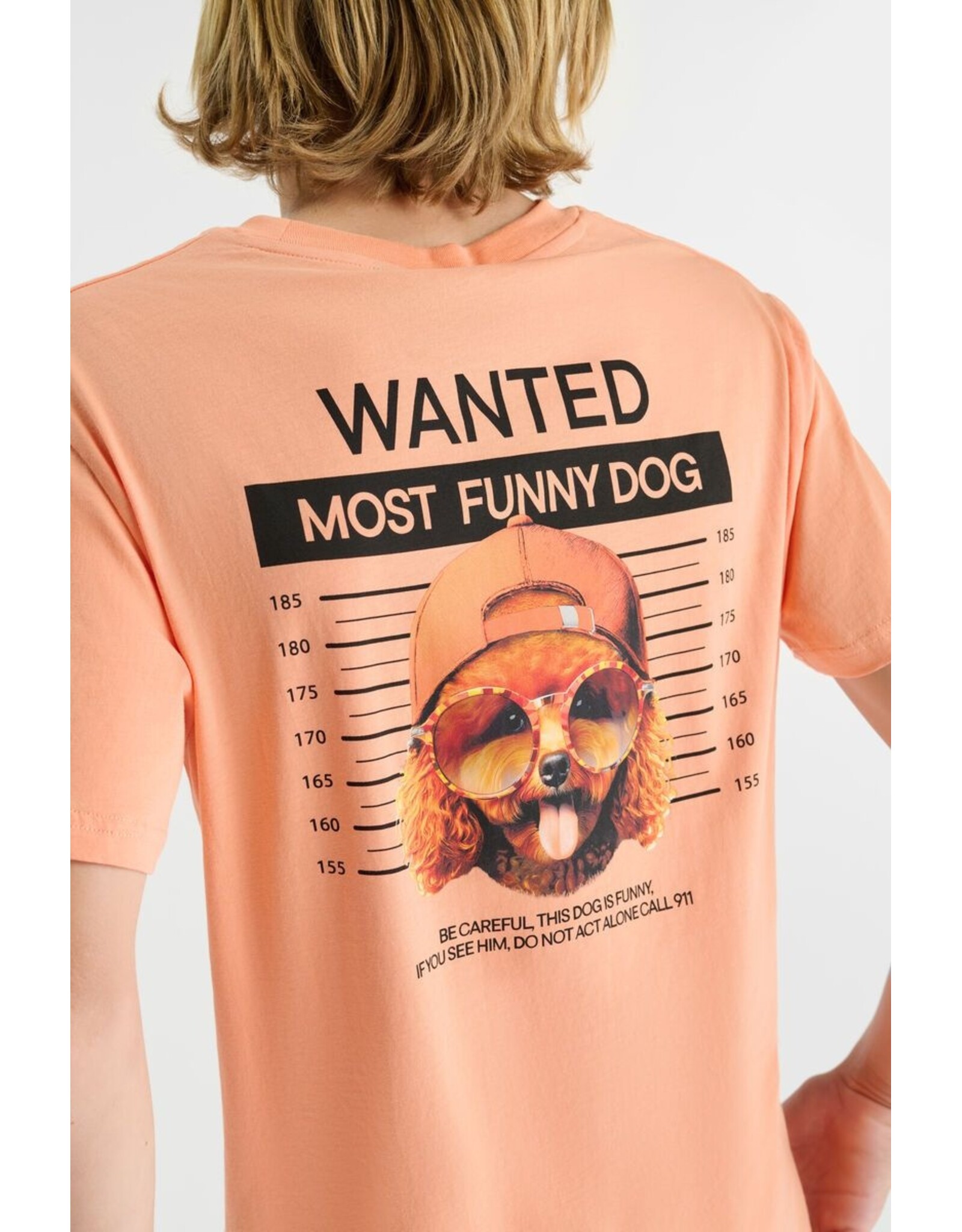 Le temps des cérises T-shirt Wembleybo wanted dog sunblush