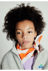 American Vintage teddy jas hoktown polaire chine