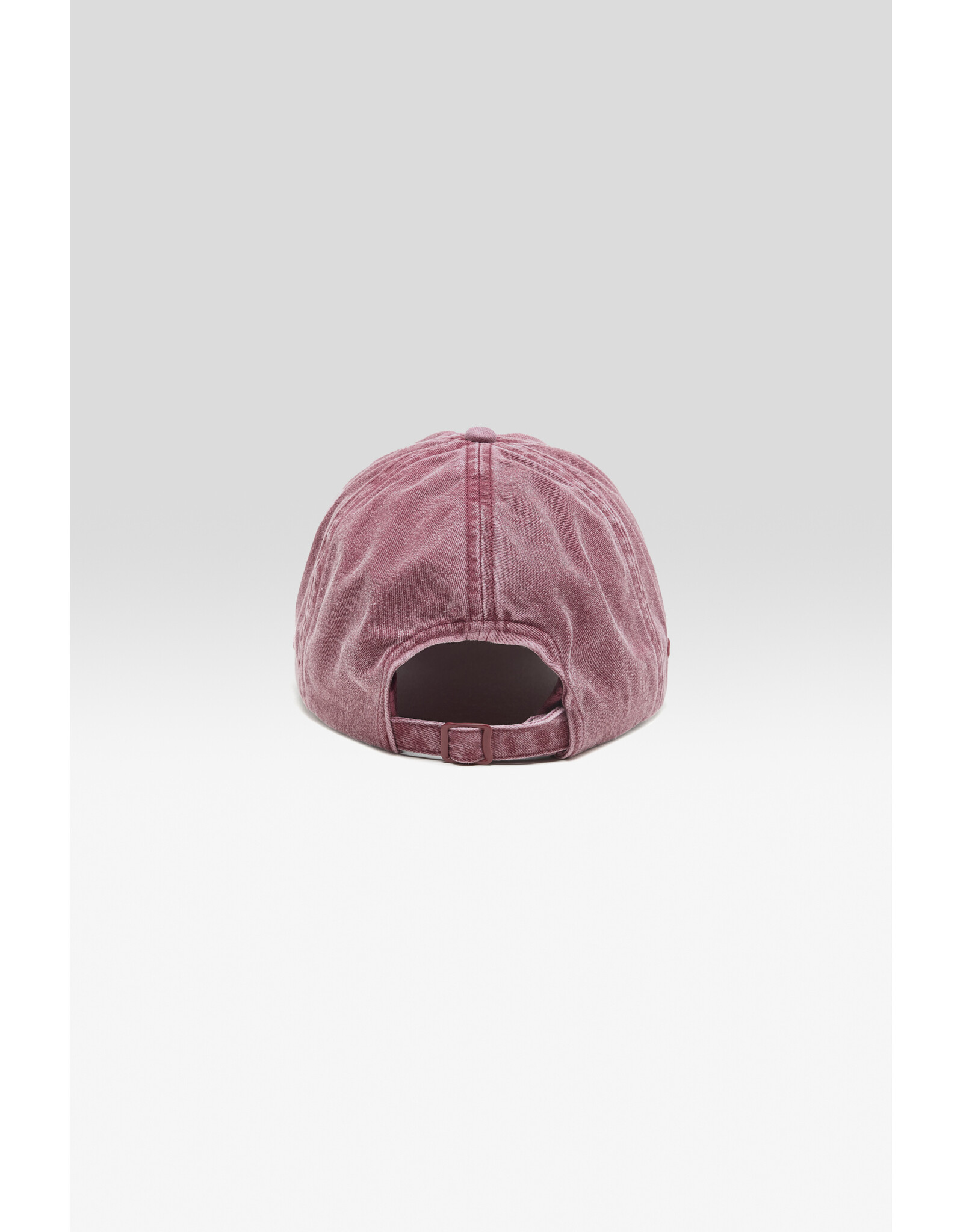 Bellerose pet Bellerose Damon ruby