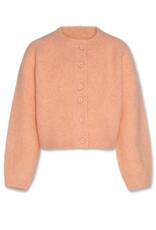 AO76 cardigan anni rose