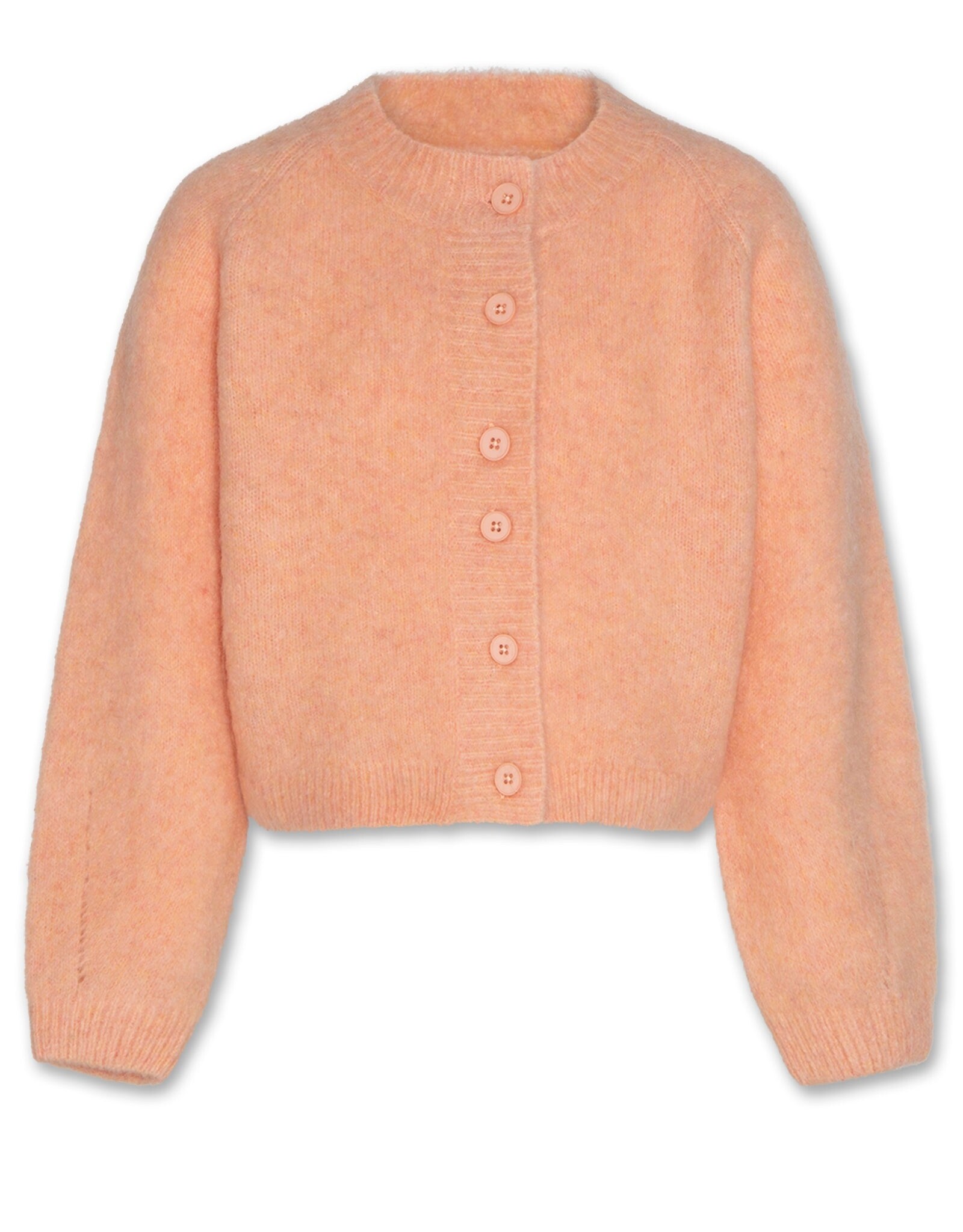 AO76 cardigan anni rose