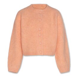 AO76 cardigan anni rose