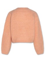 AO76 cardigan anni rose