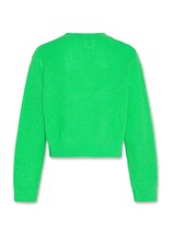 AO76 pul novo fluo groen