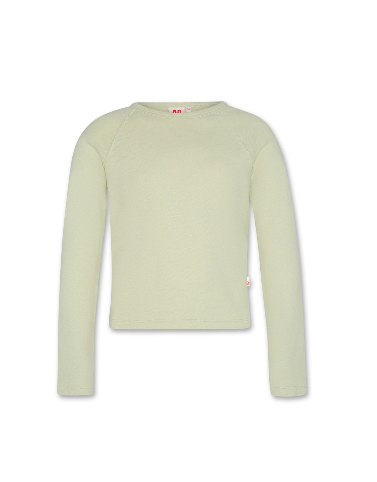AO76 T-shirt Amvi green grey