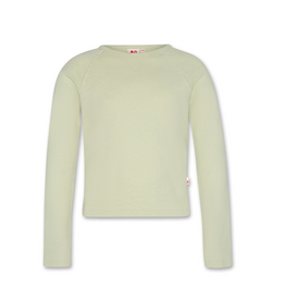 AO76 T-shirt Amvi green grey