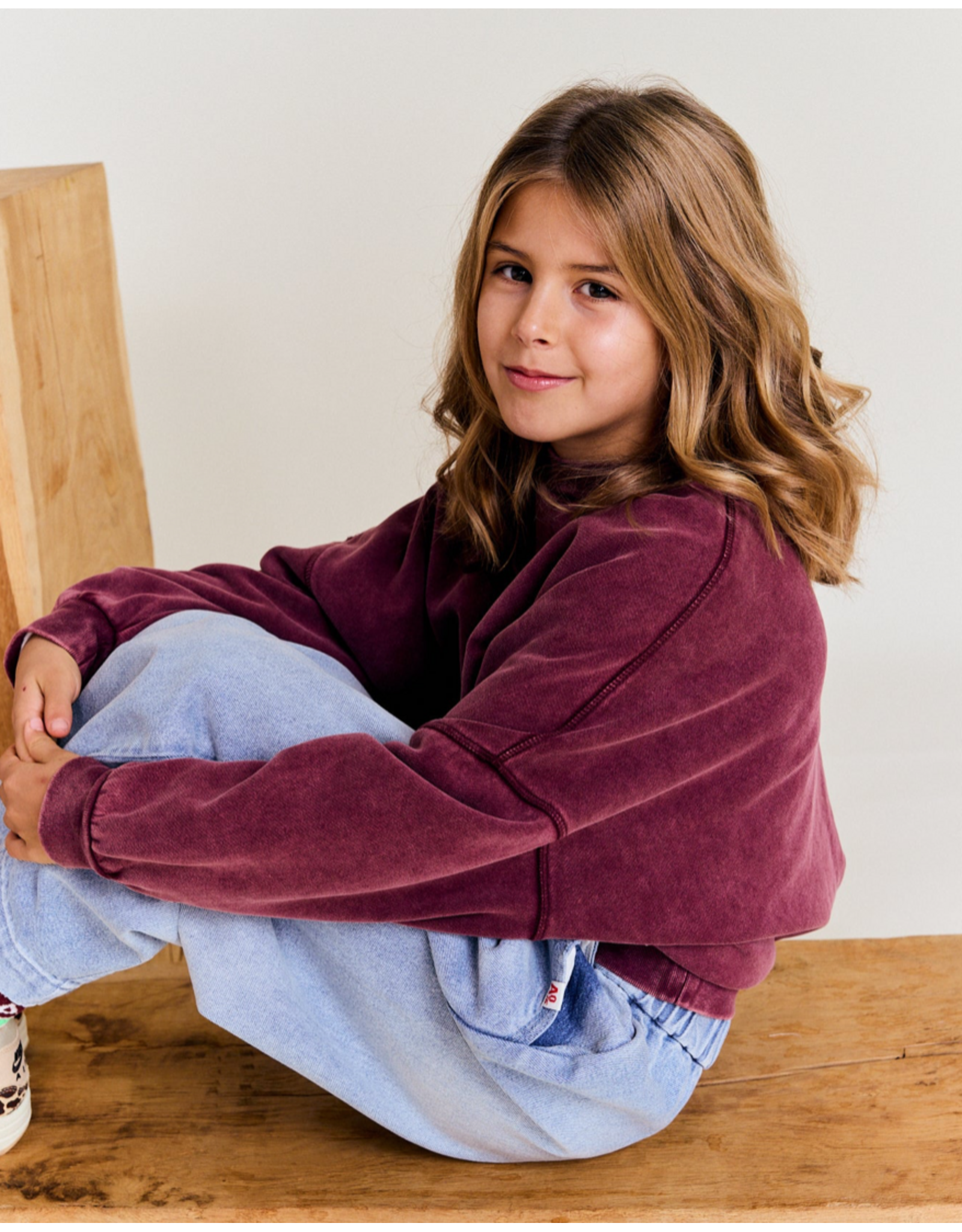 AO76 sweater Lys bordeaux