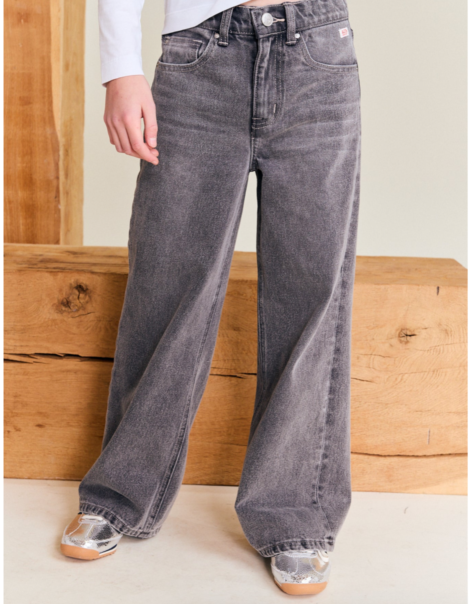 AO76 broek Zina wash light grey