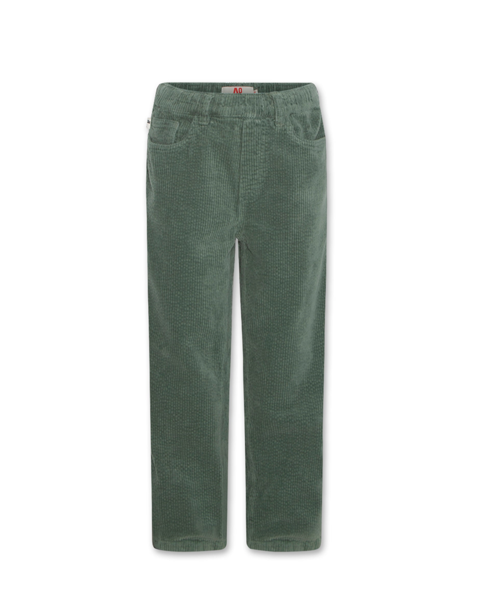 AO76 broek ribfluweel James forest