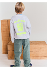 AO76 broek ribfluweel James forest