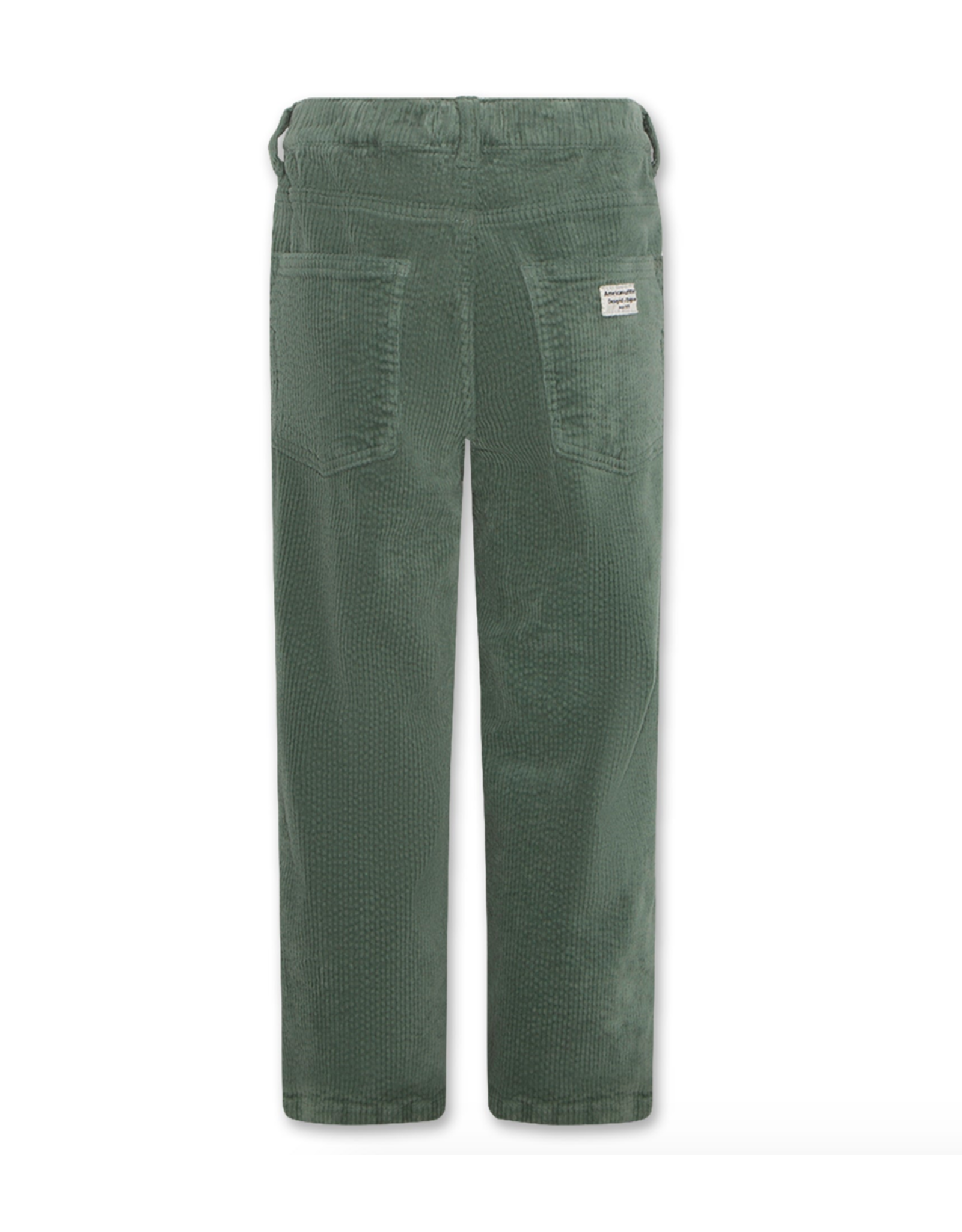 AO76 broek ribfluweel James forest