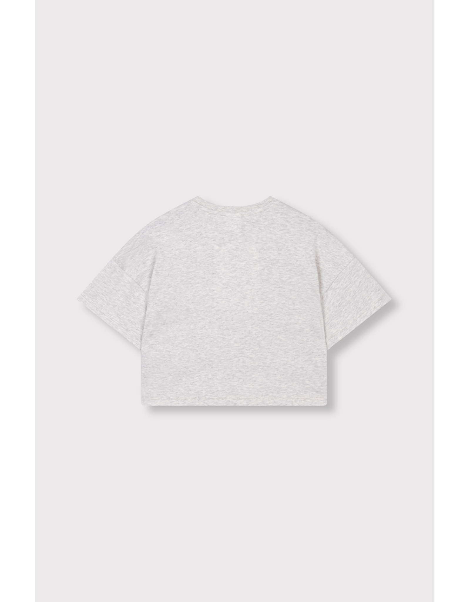 Alix mini t-shirt grey melange Alix hartje