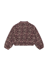 Indian Blue Jeans sweater leopard fig