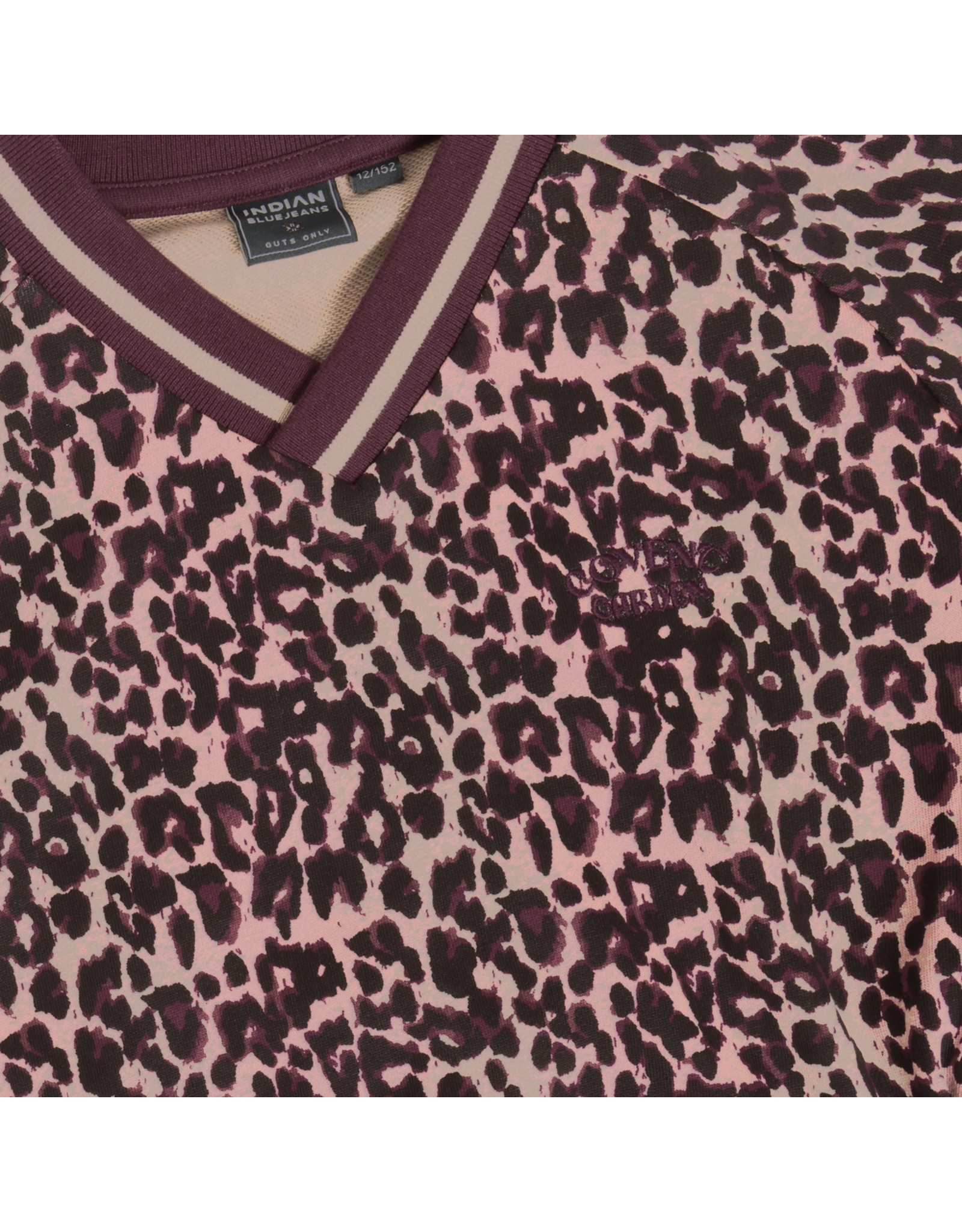 Indian Blue Jeans sweater leopard fig