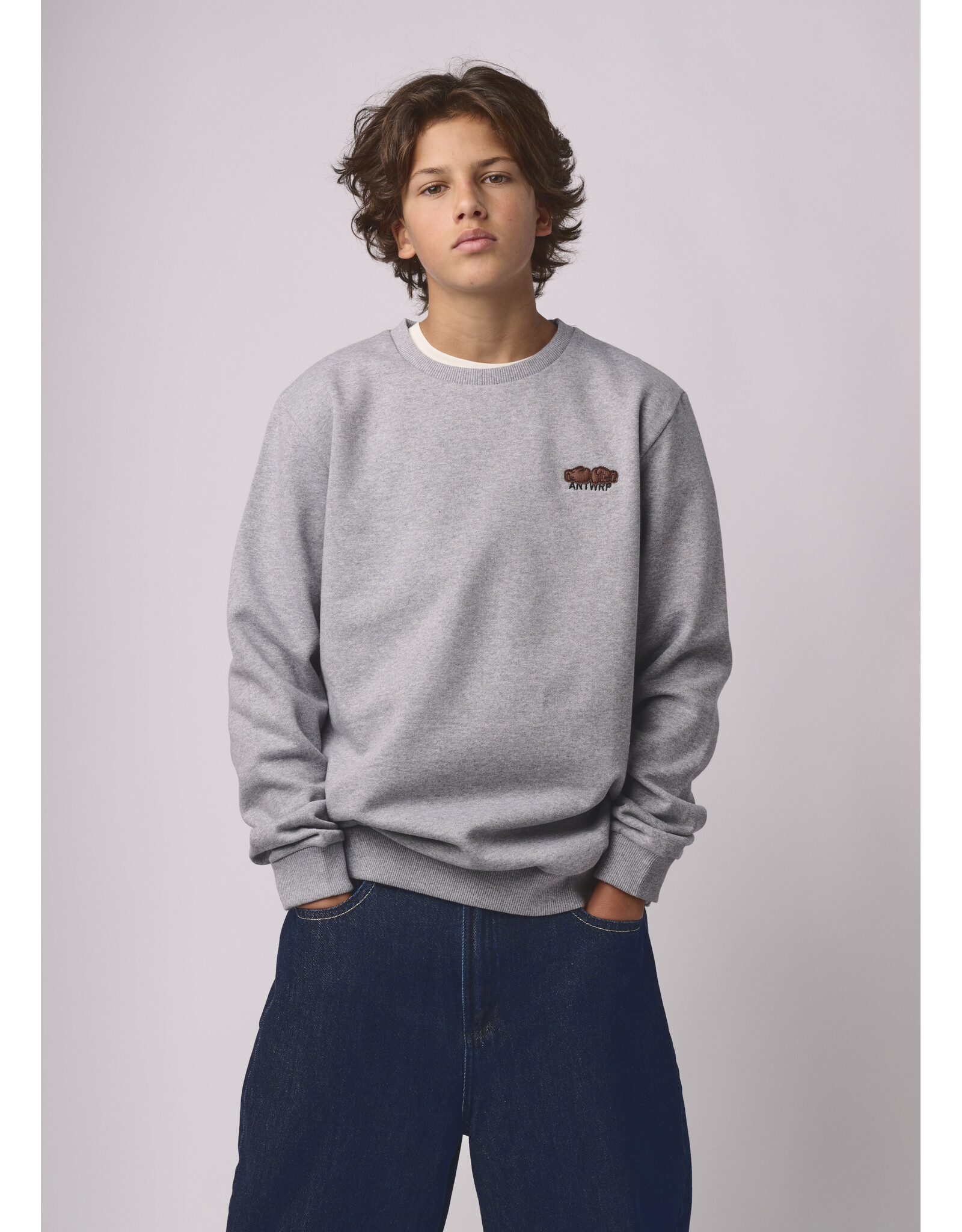 ANTWRP sweater grey chine bokser