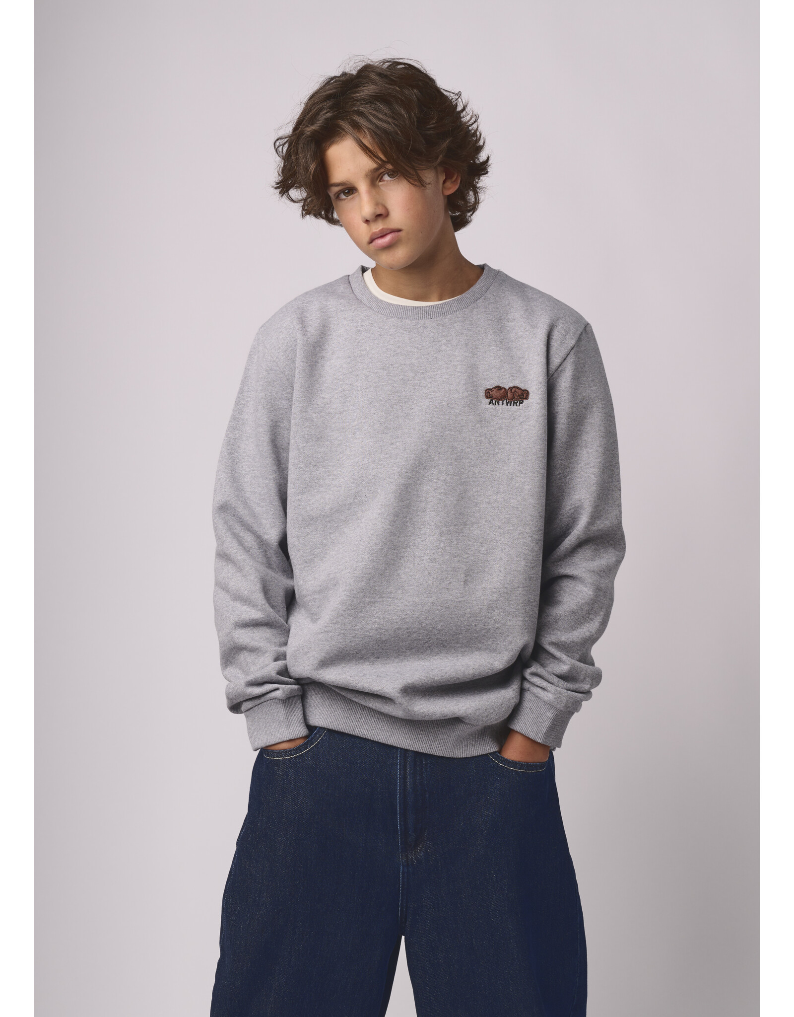 ANTWRP sweater grey chine bokser