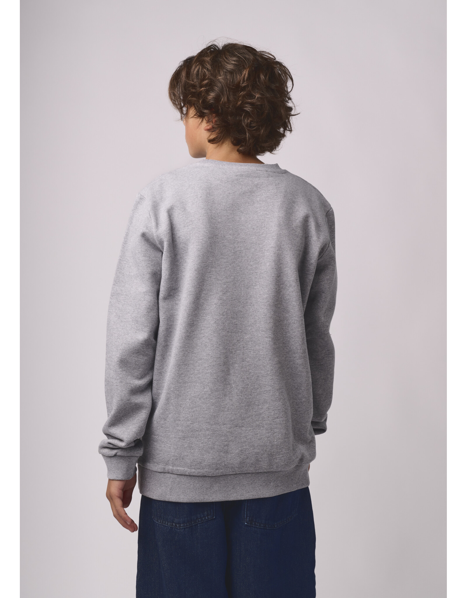 ANTWRP sweater grey chine bokser