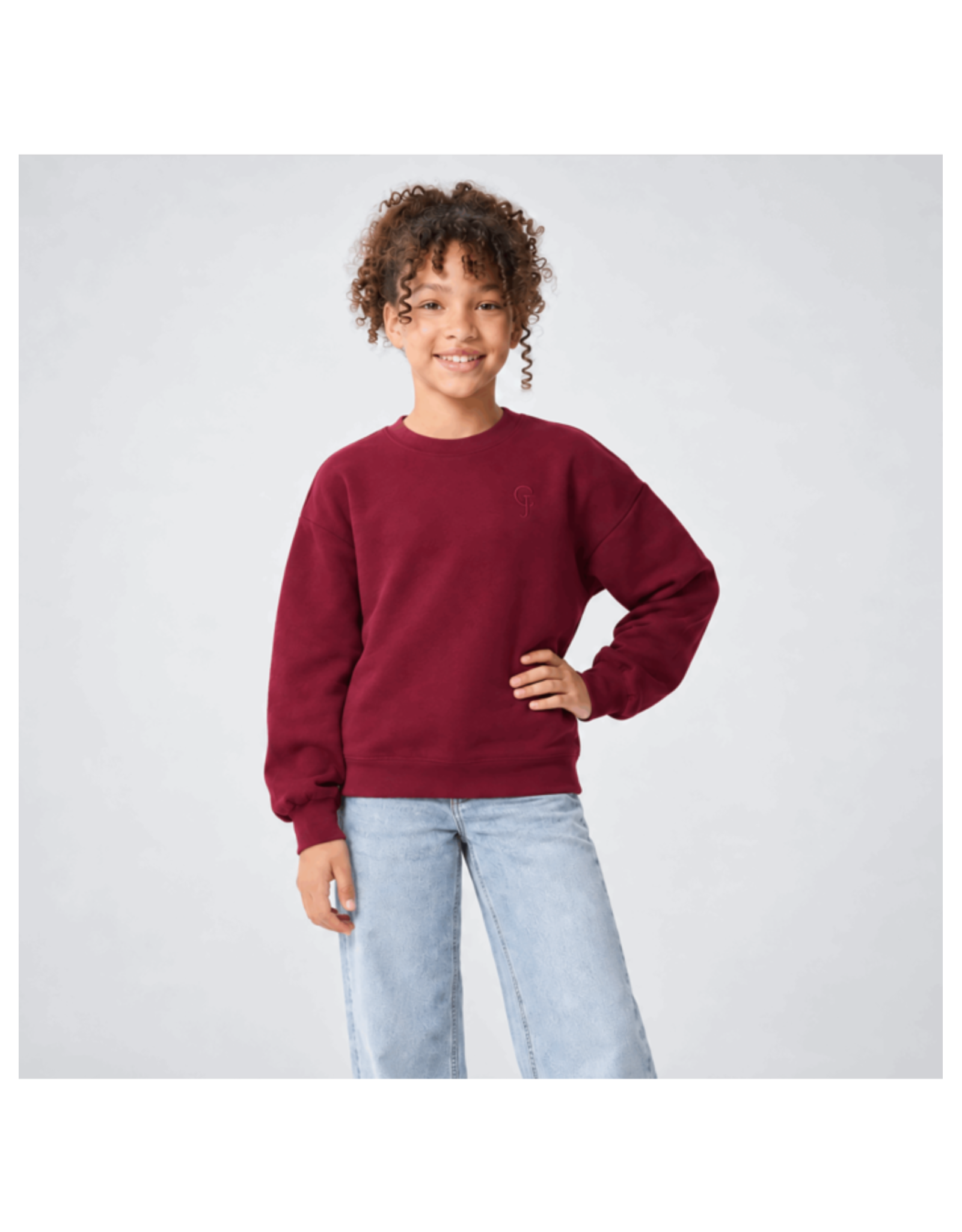 Cars sweater Remi burgundy
