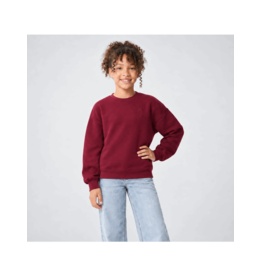 Cars sweater Remi burgundy