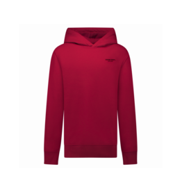 Cars hoodie Tylo burgundy