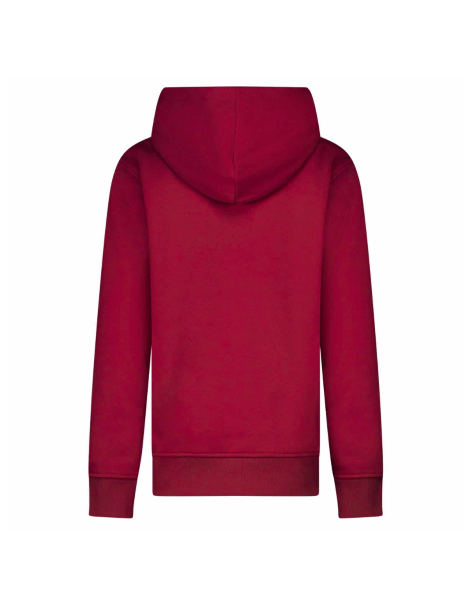 Cars hoodie Tylo burgundy