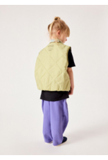 American Vintage mouwloos jasje yupibam reptile