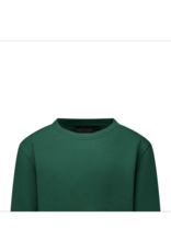 Cars sweater Bramie green