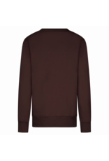 Cars sweater Ilona brown