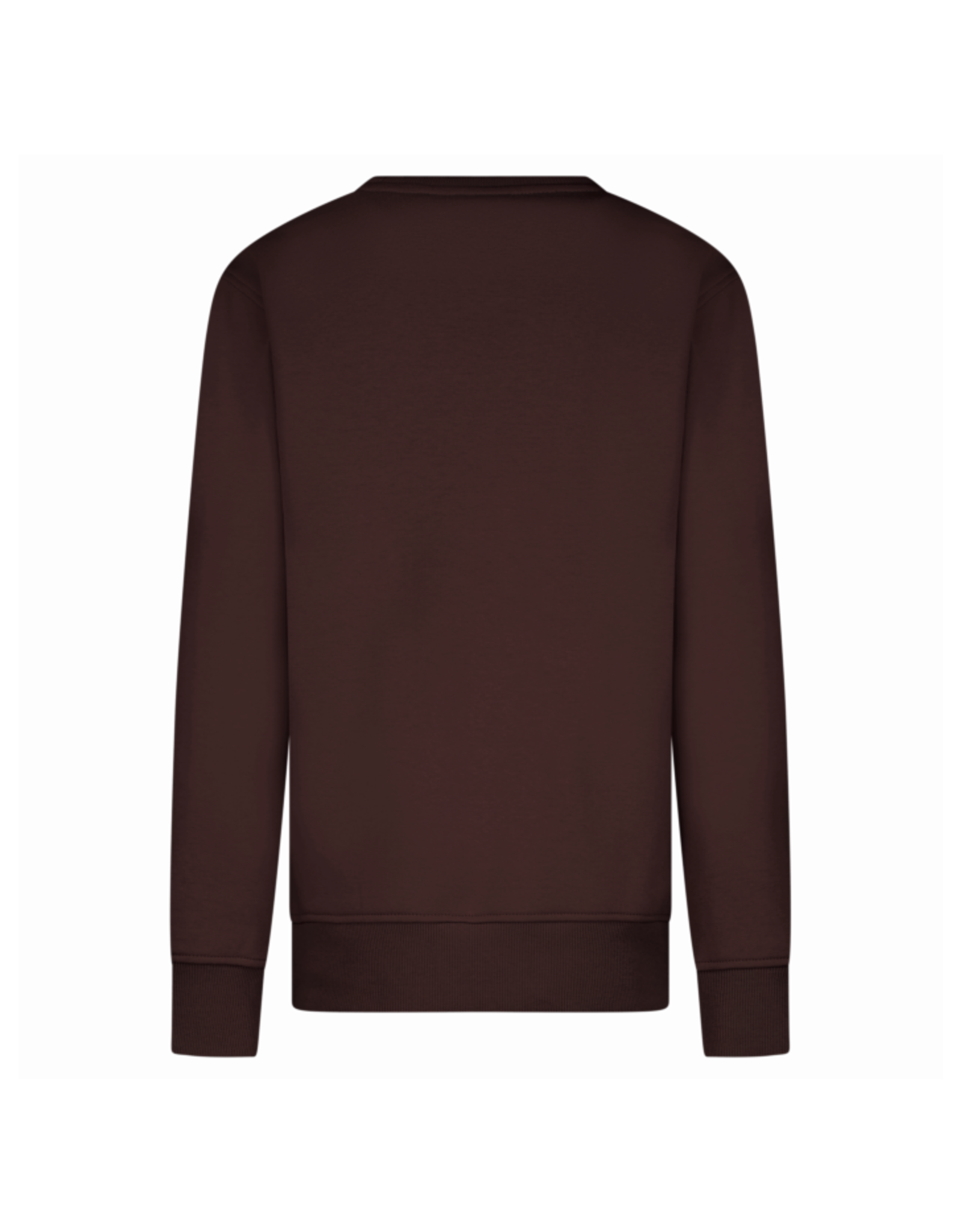 Cars sweater Ilona brown