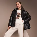 Thema D - Dodgy Dogs -30%